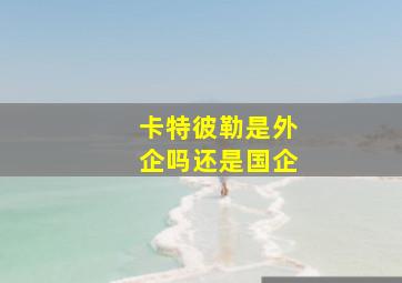 卡特彼勒是外企吗还是国企