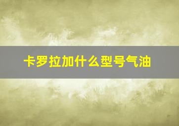 卡罗拉加什么型号气油