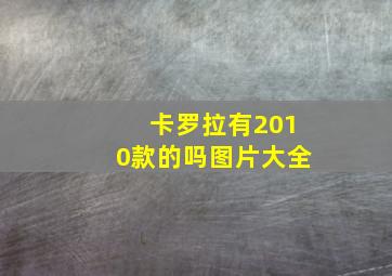 卡罗拉有2010款的吗图片大全