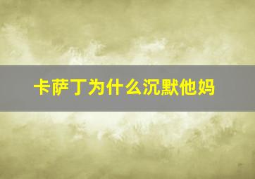 卡萨丁为什么沉默他妈