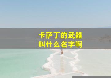 卡萨丁的武器叫什么名字啊