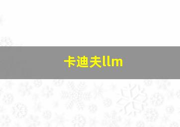 卡迪夫llm