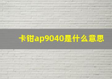 卡钳ap9040是什么意思