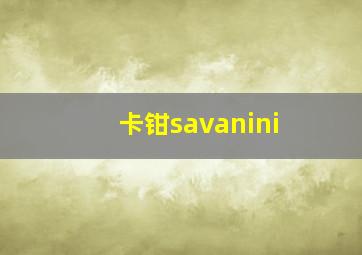 卡钳savanini