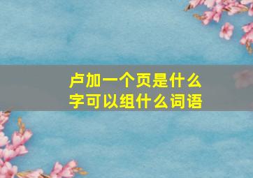 卢加一个页是什么字可以组什么词语