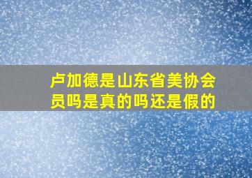 卢加德是山东省美协会员吗是真的吗还是假的