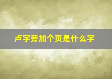 卢字旁加个页是什么字