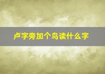 卢字旁加个鸟读什么字