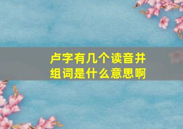 卢字有几个读音并组词是什么意思啊