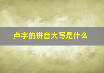 卢字的拼音大写是什么