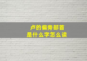 卢的偏旁部首是什么字怎么读