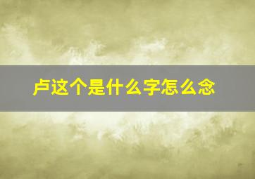 卢这个是什么字怎么念