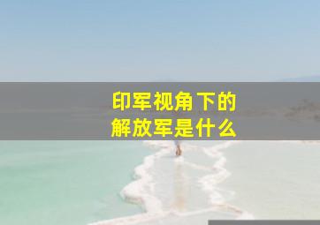 印军视角下的解放军是什么