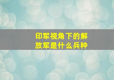 印军视角下的解放军是什么兵种