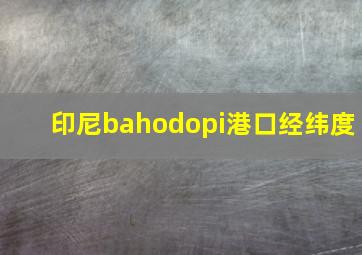 印尼bahodopi港口经纬度