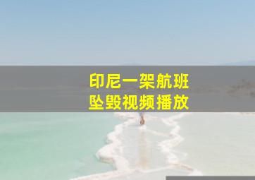 印尼一架航班坠毁视频播放