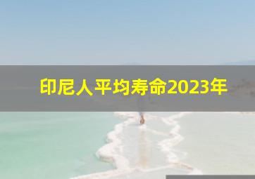 印尼人平均寿命2023年