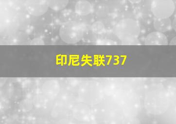 印尼失联737