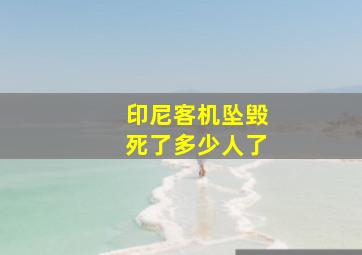 印尼客机坠毁死了多少人了