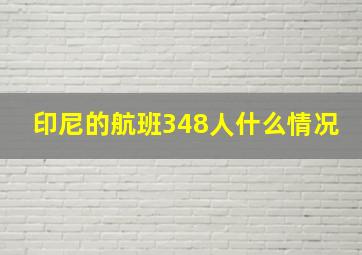 印尼的航班348人什么情况