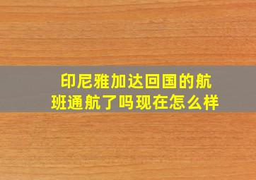 印尼雅加达回国的航班通航了吗现在怎么样