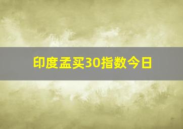 印度孟买30指数今日