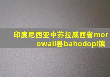 印度尼西亚中苏拉威西省morowali县bahodopi镇