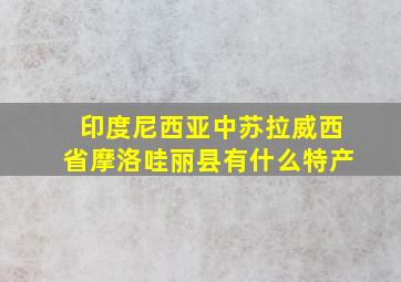 印度尼西亚中苏拉威西省摩洛哇丽县有什么特产