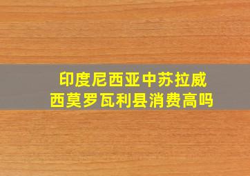 印度尼西亚中苏拉威西莫罗瓦利县消费高吗