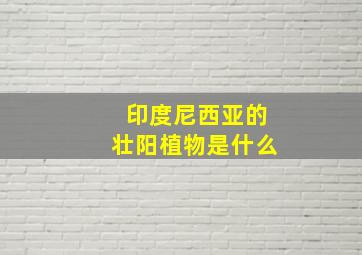 印度尼西亚的壮阳植物是什么