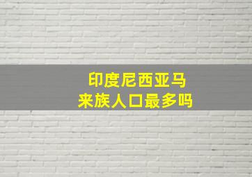 印度尼西亚马来族人口最多吗