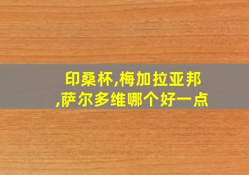 印桑杯,梅加拉亚邦,萨尔多维哪个好一点