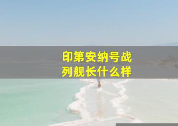 印第安纳号战列舰长什么样