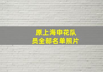 原上海申花队员全部名单照片