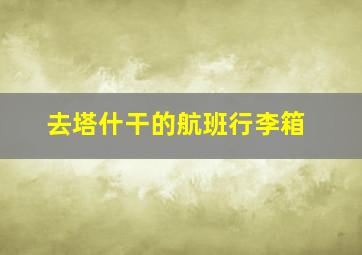 去塔什干的航班行李箱