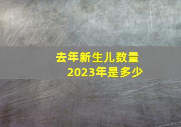 去年新生儿数量2023年是多少