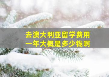 去澳大利亚留学费用一年大概是多少钱啊