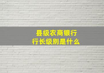 县级农商银行行长级别是什么