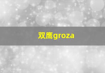 双鹰groza