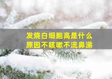 发烧白细胞高是什么原因不咳嗽不流鼻涕