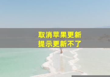 取消苹果更新提示更新不了