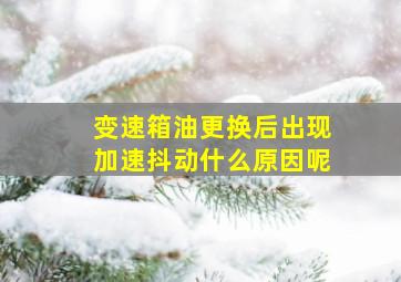 变速箱油更换后出现加速抖动什么原因呢