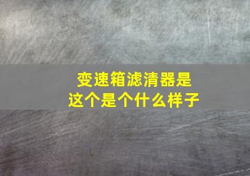 变速箱滤清器是这个是个什么样子