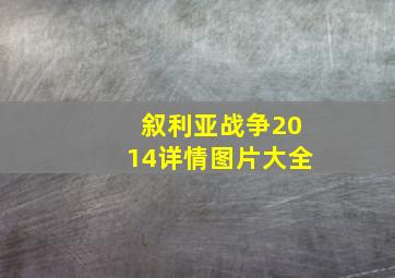 叙利亚战争2014详情图片大全