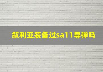 叙利亚装备过sa11导弹吗