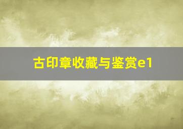 古印章收藏与鉴赏e1