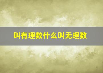 叫有理数什么叫无理数