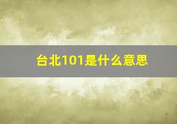 台北101是什么意思