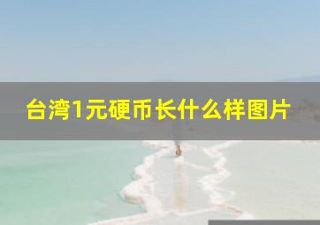 台湾1元硬币长什么样图片