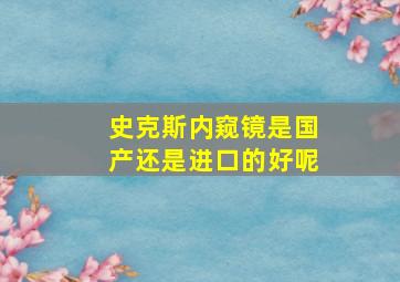 史克斯内窥镜是国产还是进口的好呢